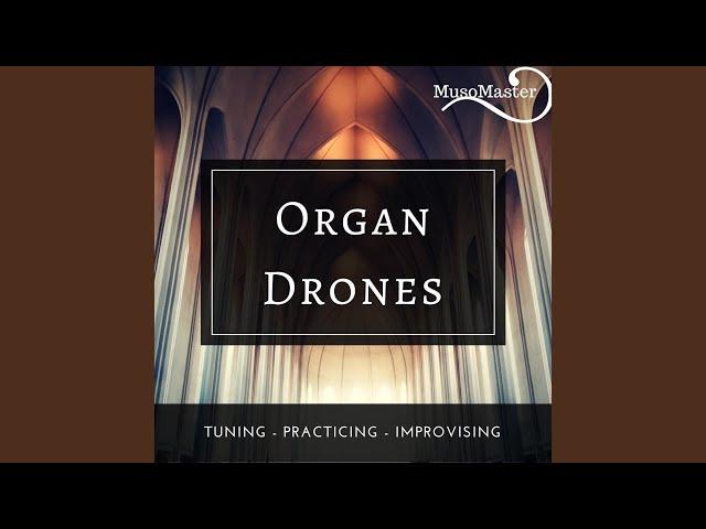 Organ Drone A#/Bb