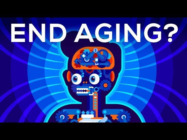 Why Age? Should We End Aging Forever?