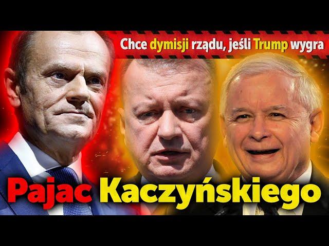 Pajac Kaczyńskiego. Mariusz Błaszczak chce dymisji rządu Donalda Tuska, gdy Trump wygra wybory.