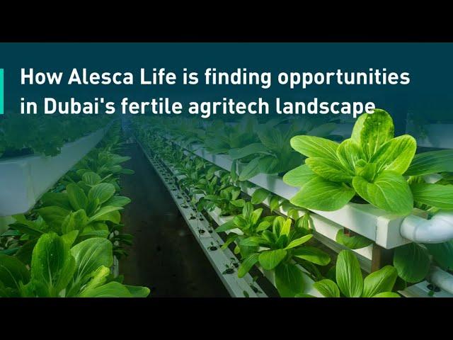 How Alesca Life is changing Dubai’s agricultural landscape