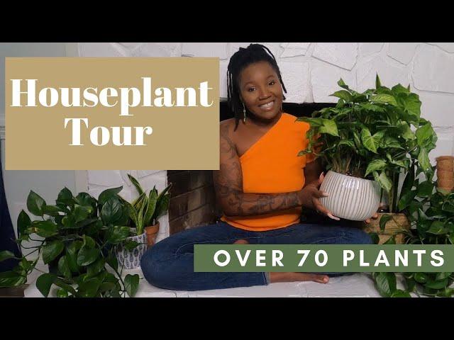 Houseplant Tour | Over 70 Plants | Summer 2022