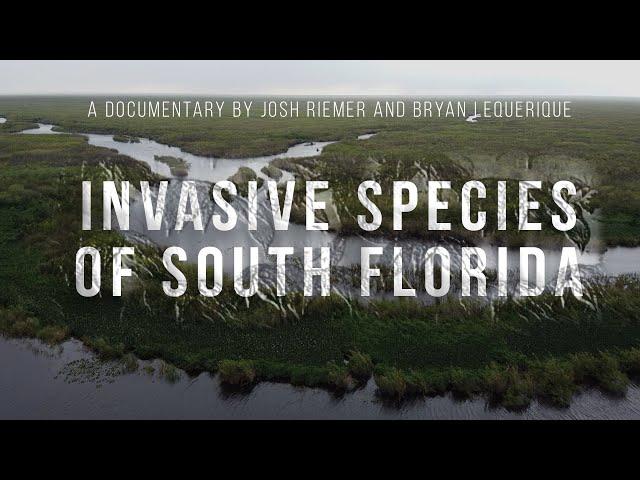 Invasive Species of South Florida | Documentary | AAHSFF 2020 Official Selection