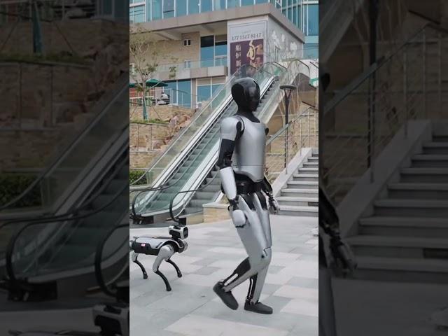  MagicLab's Robot: Graceful Straight-Knee Walking & Continuous Evolution!#robotics #futuretech