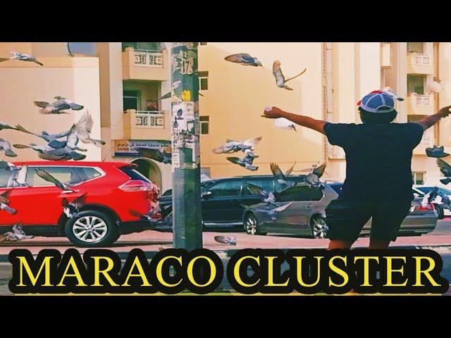 #Maraco cluster #Maraco vlog#UAE vlog# Traveling UAE#eagle eye