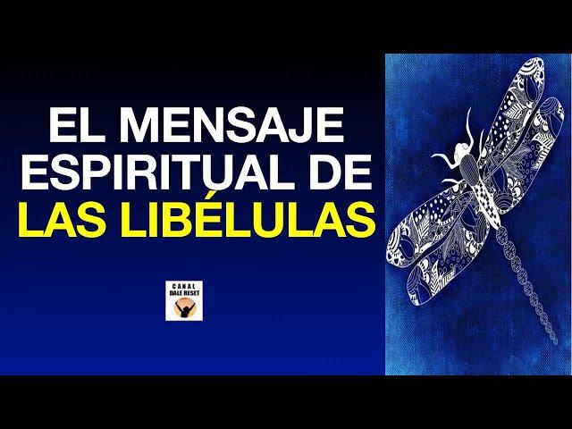 EL MENSAJE ESPIRITUAL De Las LIBÉLULAS Símbolo Del Más Allá ANIMAL De PODER Amuleto Poderoso