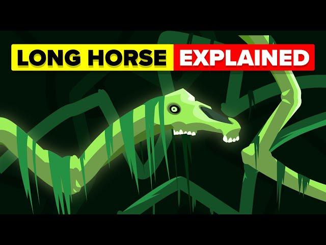 Long Horse - Explained