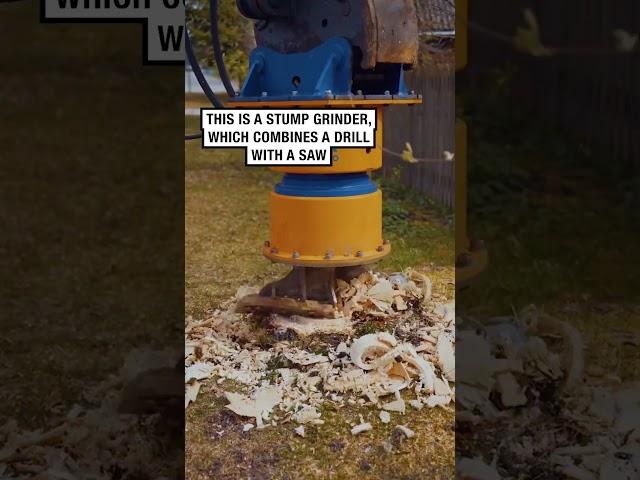 Getting rid of tough tree stumps!   -   dipperfox