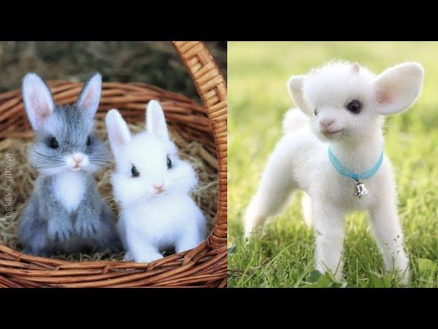 Cutest baby animals Videos Compilation Cute moment of the Animals - Cutest Animals #4