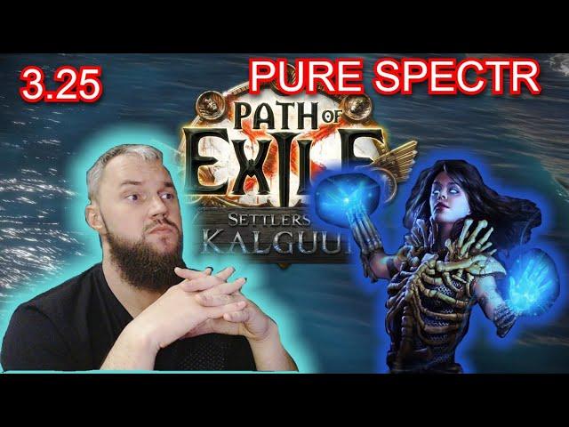 3.25 Pure Spectre "Wretched Defiler"  (ГАЙД на спектров для работяг!)