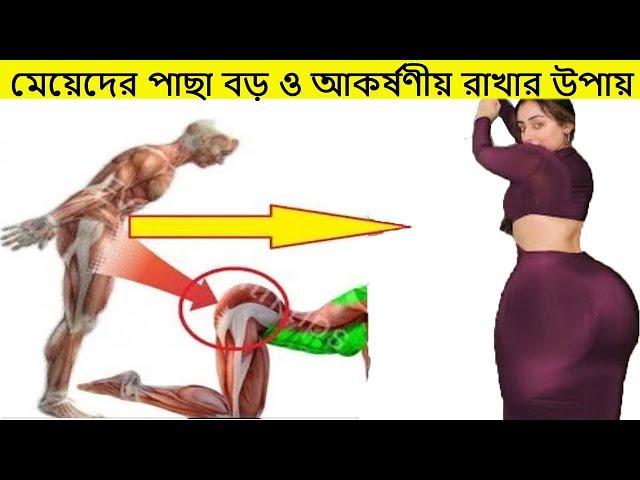 মেয়েদের পাছা বড় ও ভারী করার সহজ উপায়