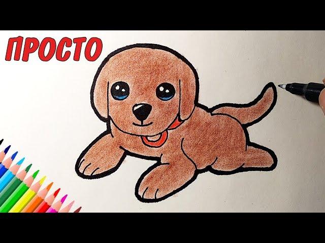 How to draw a cute puppy whole, easy drawings for kids and beginners #drawings