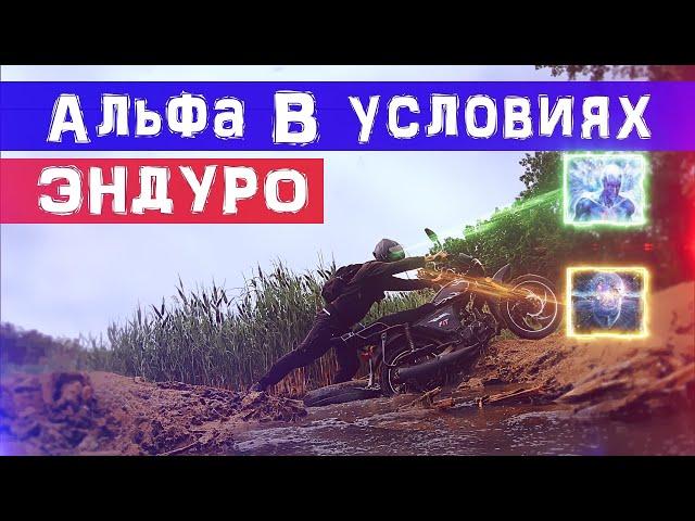 Альфа в условиях ЭНДУРО