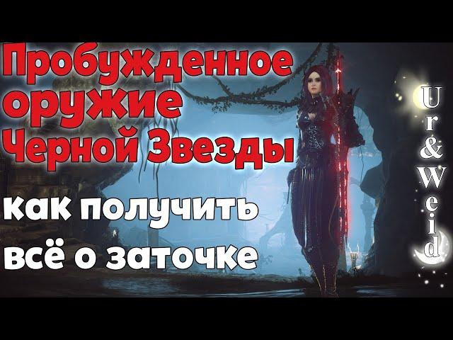 Пробужденное Оружие Черной Звезды в Black Desert: как получить и все о заточке