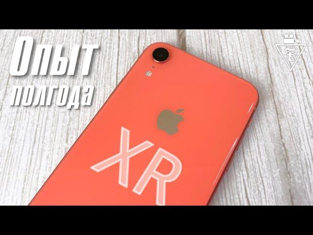 Опыт использования iPhone XR в 2020 году (6 месяцев)