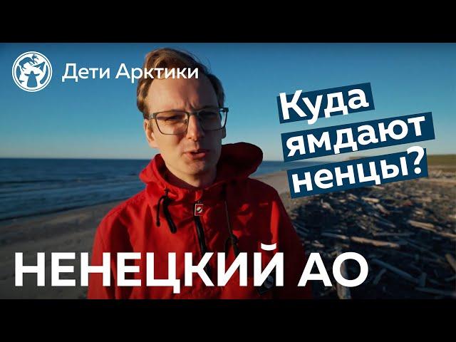 Дети Арктики | Путешествия | Куда ямдают ненцы?