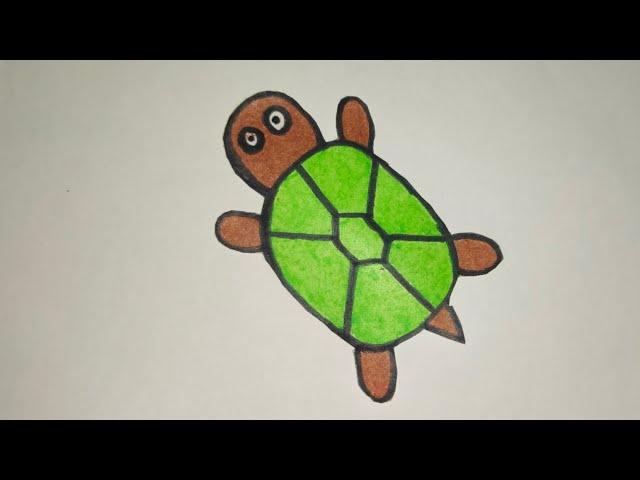 how to draw a cute tortoise