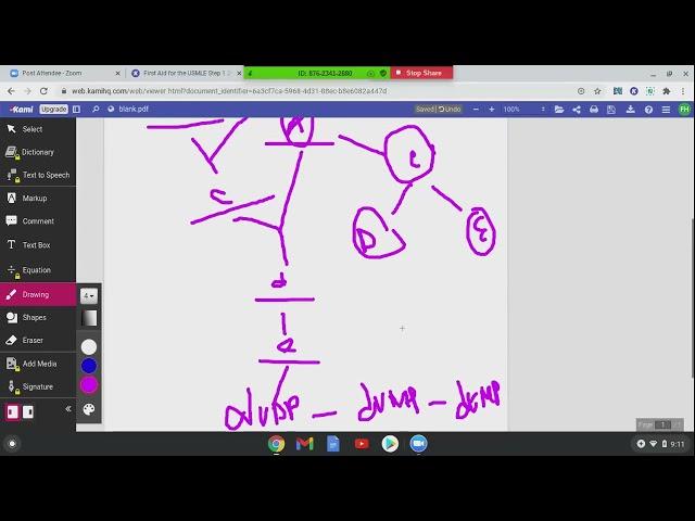 BIOCHEMISTRY and GENETICS USMLE STEP 1 LECTURE 2