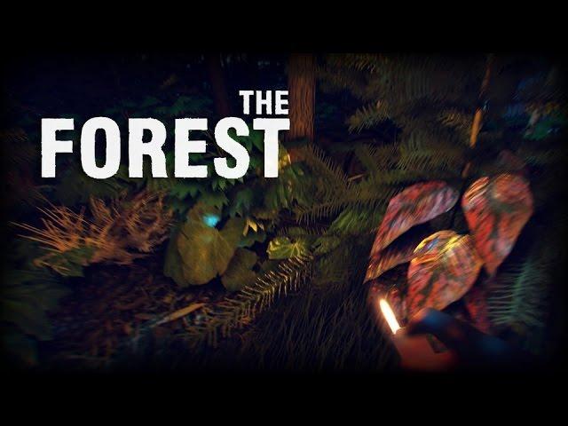 The Forest ep.1 : Traps! (Kitteh)