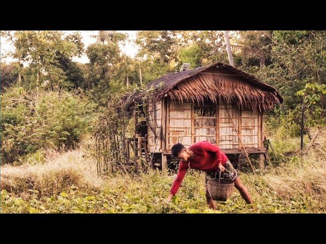 Embrace the simple life - Organic living | PROMDIBOY