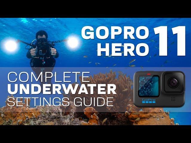 GoPro Hero 11 | Best Underwater Video & Photo Settings - Complete Setup Guide