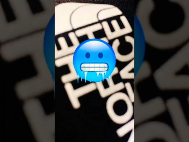 THE  NORTH  FACE