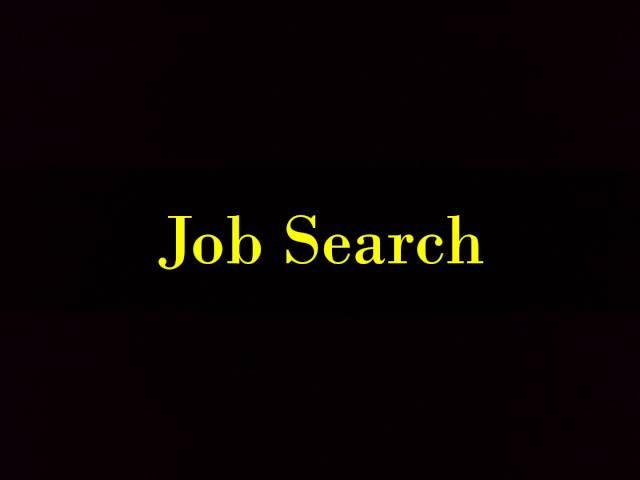 Job Search