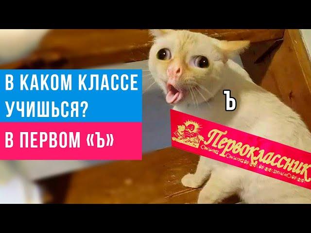 Приколы. Первоклассник из 1-Ъ ))) | Мемозг #378