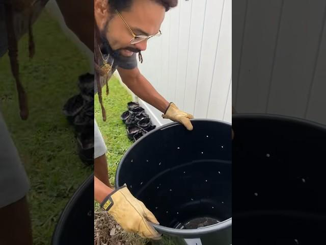 FREE SOIL.. Simple ￼Composting 101