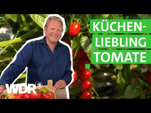 Das beliebteste Gemüse in Deutschland – die Tomate  | Der Vorkoster | WDR