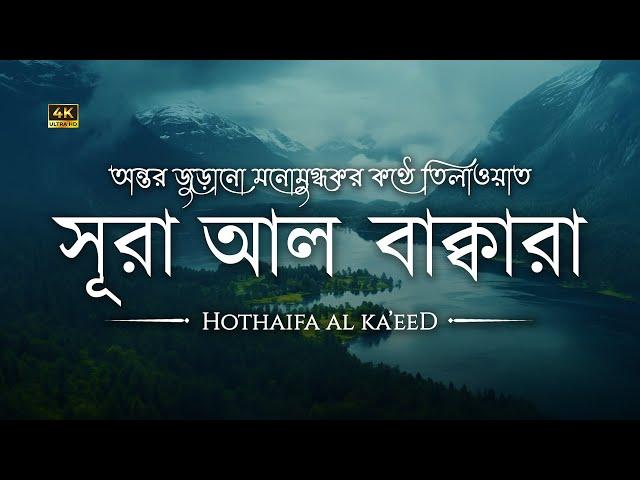 সূরা আল বাকারা এর অন্তর জুড়ানো কণ্ঠে তিলাওয়াত┇Surah Al Baqarah Recited by Hothaifa Al Ka'eed