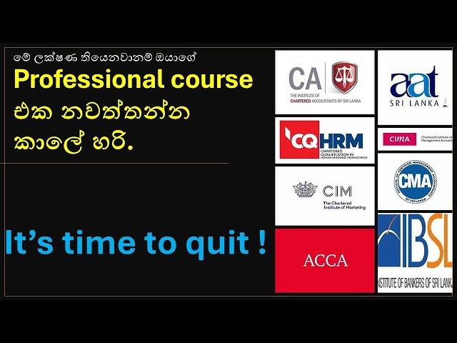 At what time you should change your professional qualification