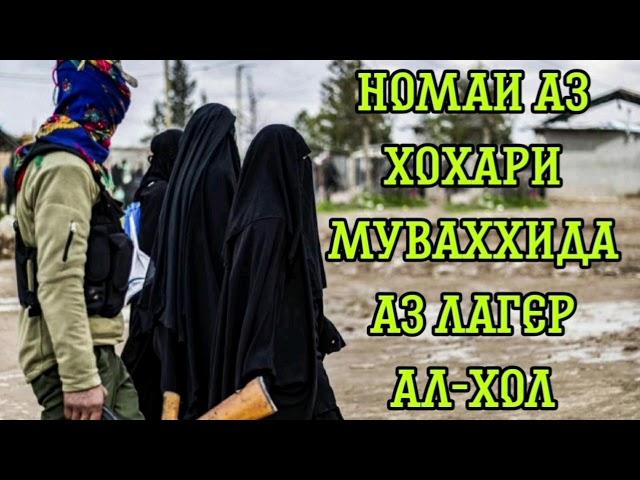 Абу Довуд 2021 Паёми хоҳар ба ҷавонони уммат