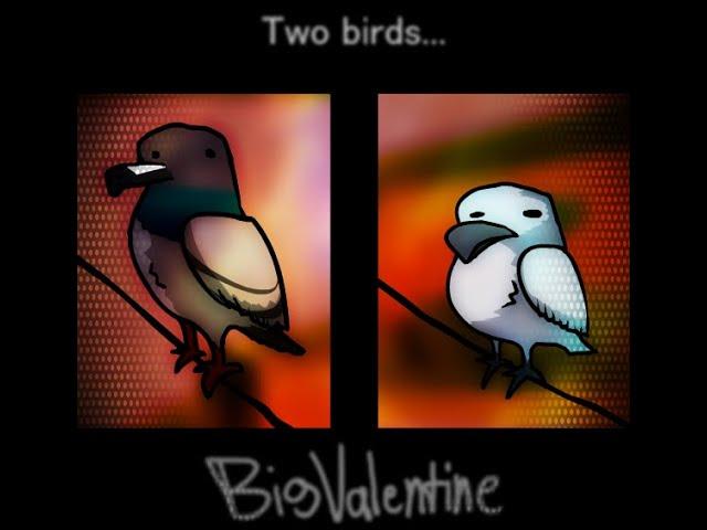 Two Birds On a Wire (ANIMATION)