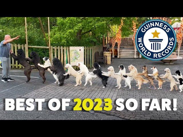 BEST RECORDS of 2023 so far! | Guinness World Records