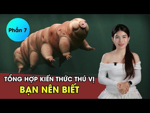 Kiến Thức Tổng Hợp Thú Vị | Tomato Hường