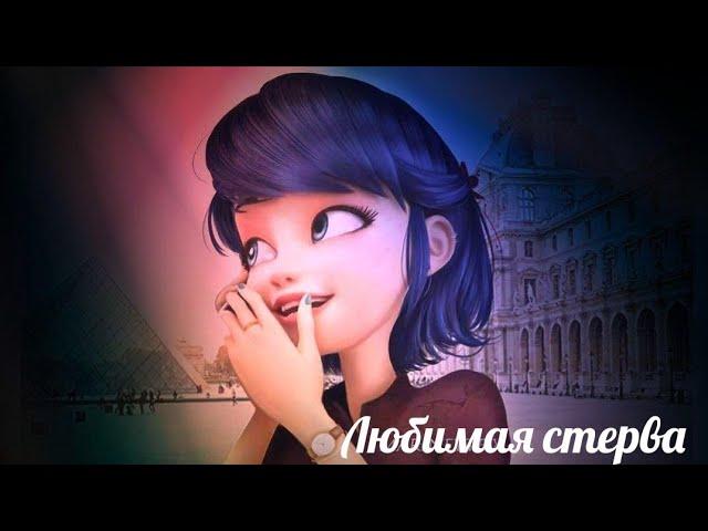 Клип Леди Баг и Супер Кот-Любимая стерва.