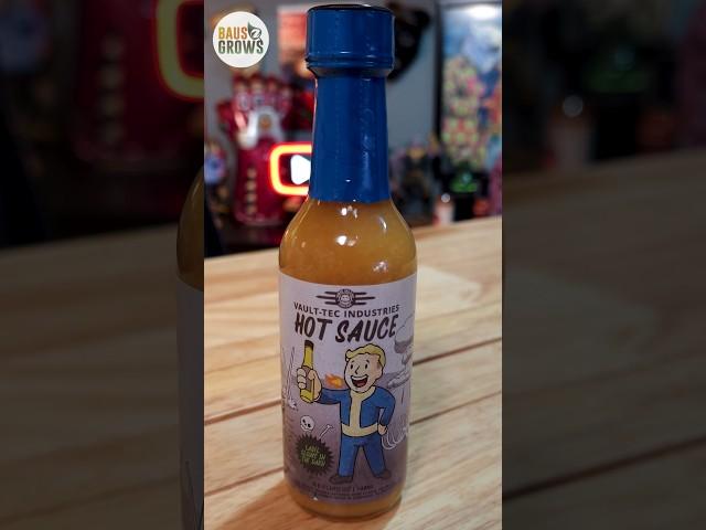 I Tried Fallout's Spicy Post-Apocalyptic Hot Sauce