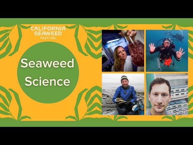 Seaweed Science Discussion: What's next in Seaweed Science | 2020 California Seaweed Festival