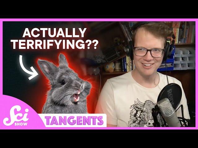 Predators with Jaida Elcock | SciShow Tangents Podcast