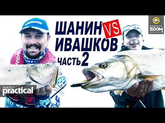 Шанин VS Ивашков. Рыбалка как соревнование. Часть 2. Anglers Practical