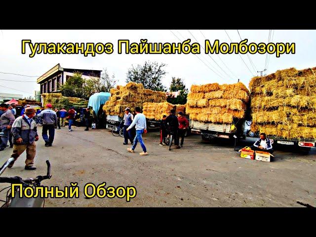 Гулакандоз Пайшанба Молбозори. 09.11.2023.