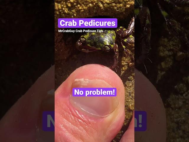 CRAB Pedicure tips! #shorts #nailsalon