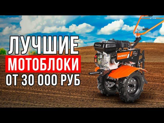 ТОП-5 мотоблоков от 30 тысяч рублей. Какой мотоблок купить?