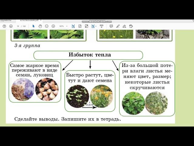 Урок 6. Как растения приспособлены к условиям жизни. Естествознание. 3 класс