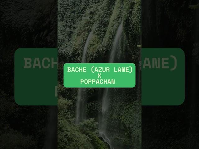 PAWN & VIP Update #poppachan #bache #azurelane #clinicofokb #produktebel #xrvnxclwx