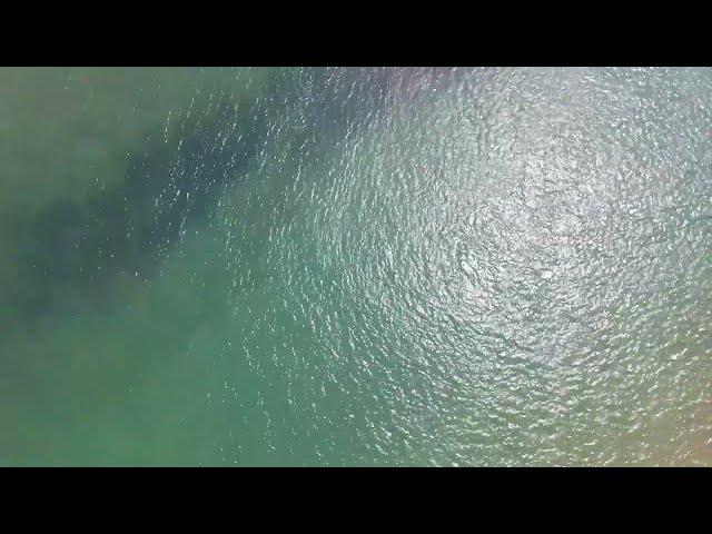 Digital Silent Unique Sea Sightseeing #youtube #love #digitalmarketing #shorts #short #shortvideo