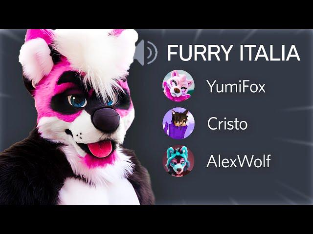 Entro nei server DISCORD dei FURRY...