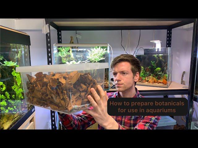 How to prepare botanicals for use in aquariums