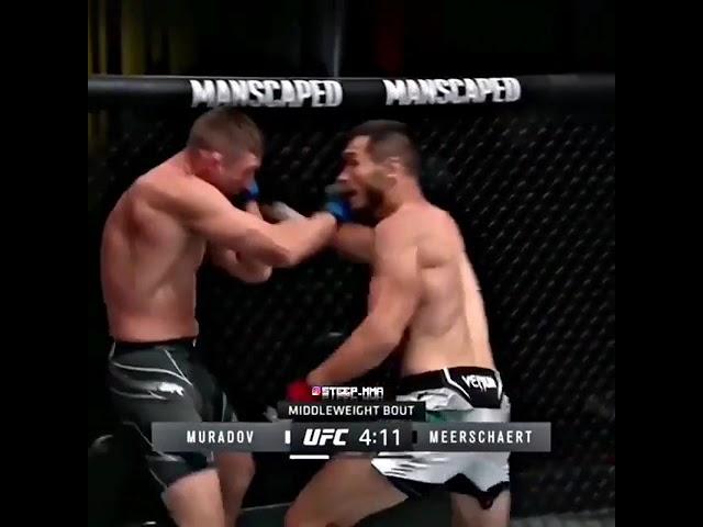 UFC Maxmud Murodov Yangi Jang