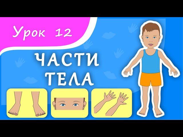 Учим части тела. Урок 12. Части тела для малышей. Развивающее видео для детей (раннее развитие).